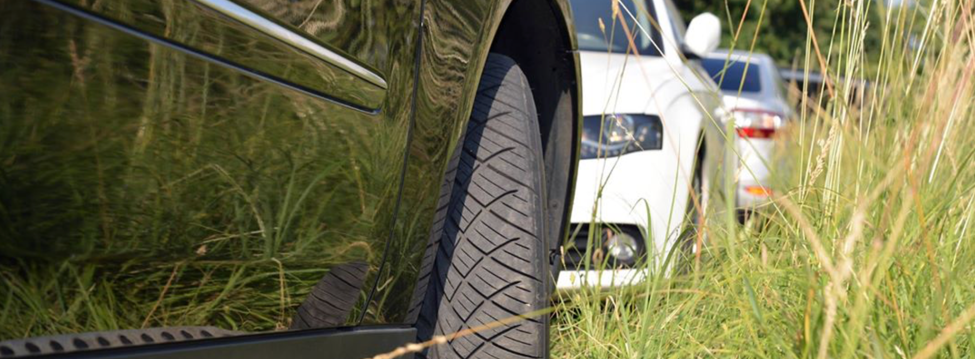 Verge (nature strip) parking policy—One Nation