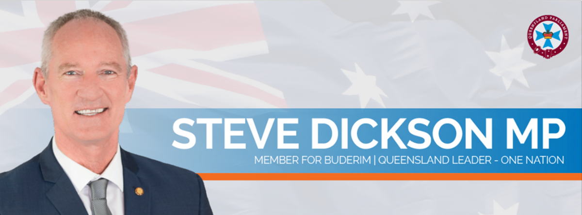 ALP and LNP can cut power prices immediately by adpoting One Nation’s policy on Energy Company dividends