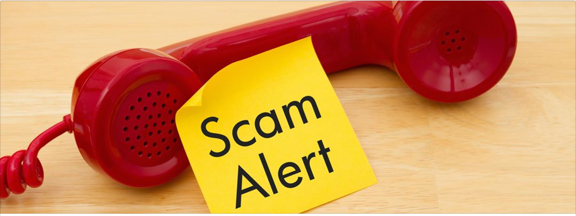 Pauline Hanson’s Plan to Stop Phone Scams