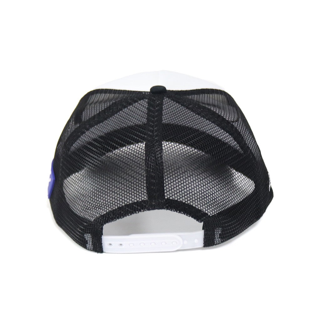 Hanson Senate 2028 Cap