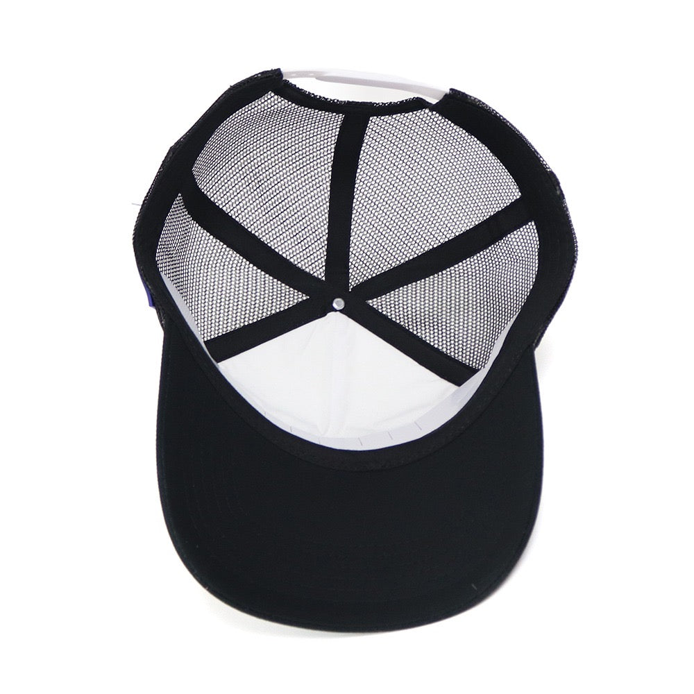 Pauline Senate 2028 Cap