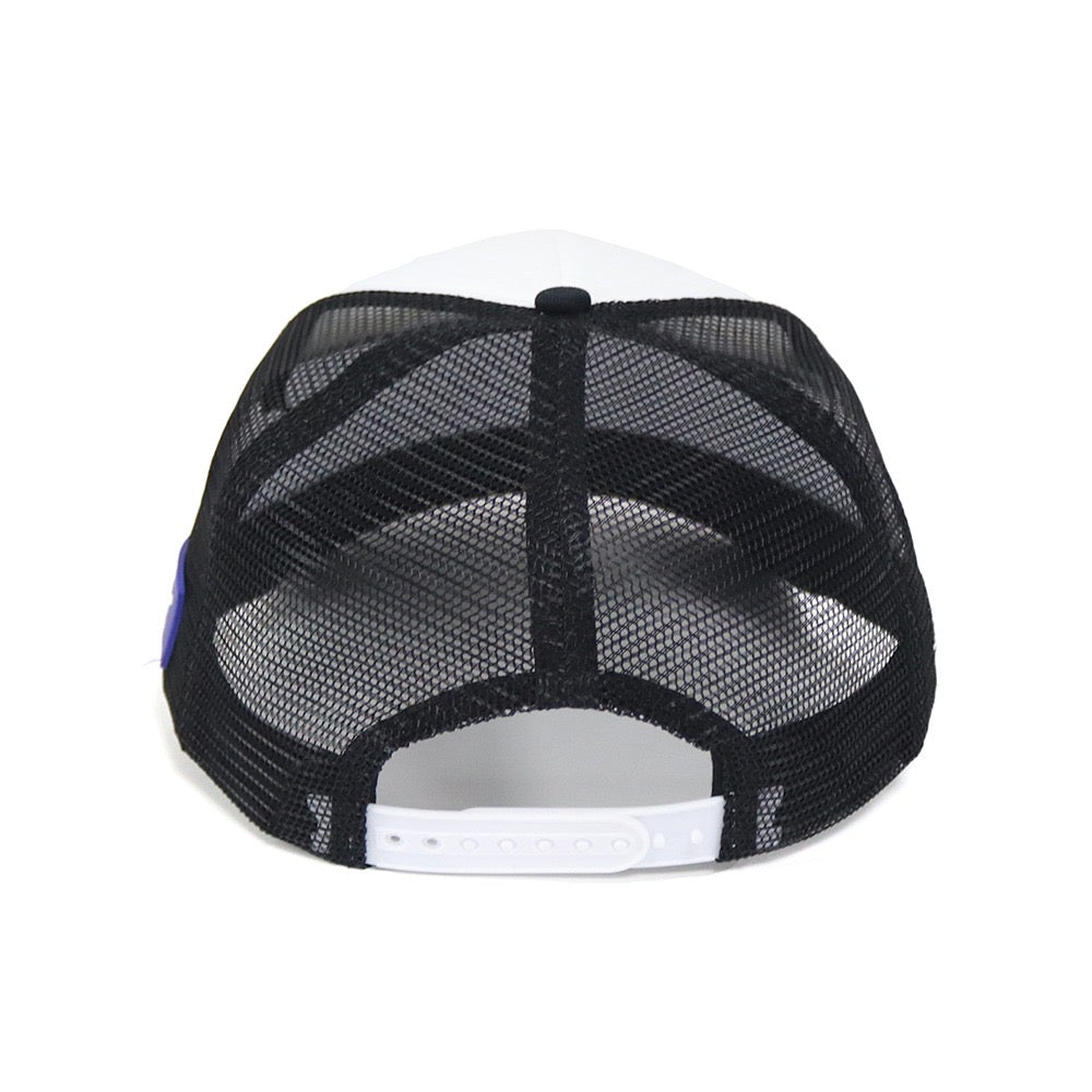 Pauline Senate 2028 Cap