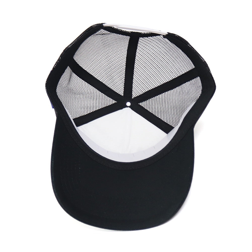 Hanson Senate 2028 Cap