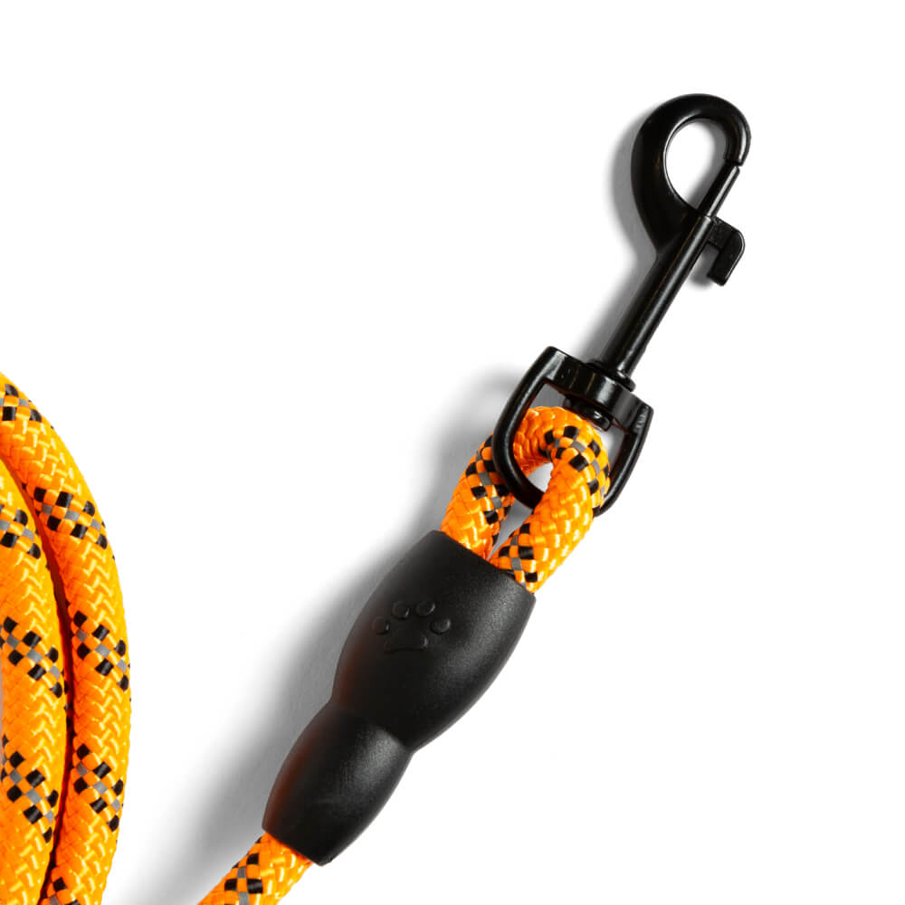 Close-up of the dog lead’s clip and orange and black rope